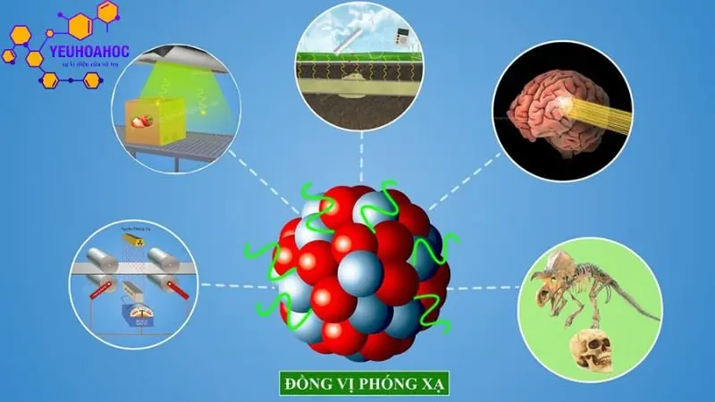 ung-dung-dong-vi