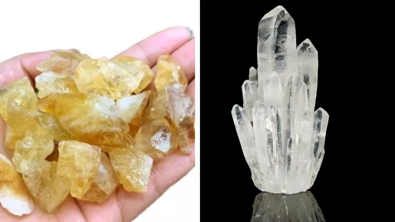 Phân loại chất rắn