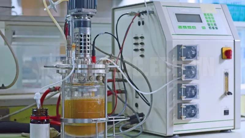 Tác hại của Ethanol
