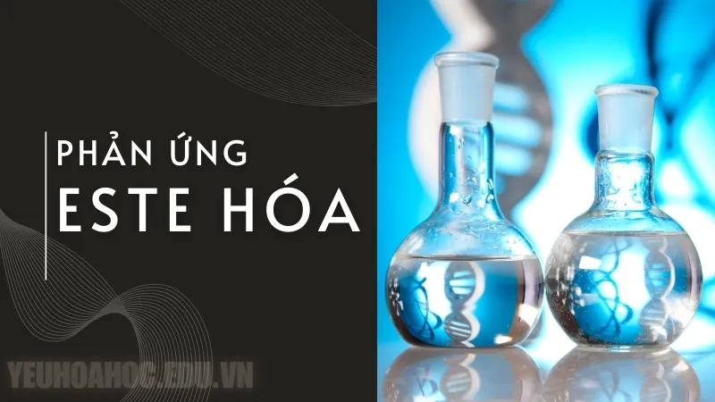 Phản ứng este hóa là gì?