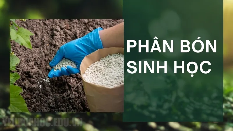 Phân bón sinh học là gì?