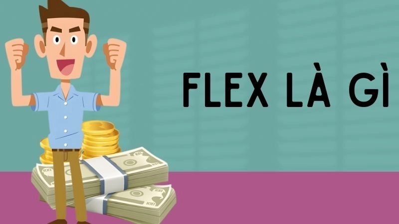 Flex là gì? Định nghĩa siêu dễ hiểu cho newbie