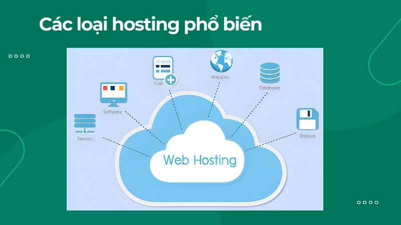 Các loại hosting phổ biến và điểm khác biệt