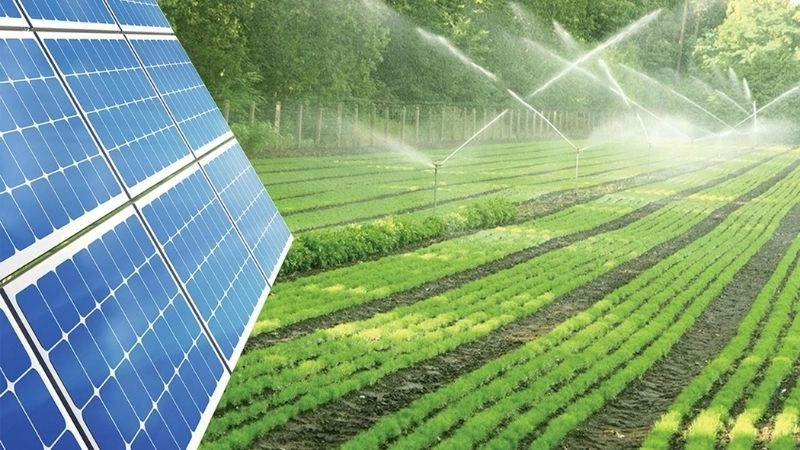 Giải pháp thích ứng để giảm thiểu thiệt hại khí hậu