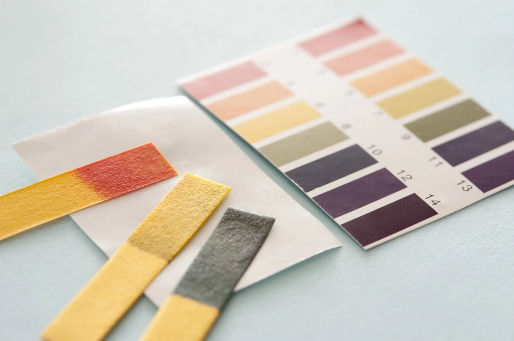 Quỳ tím đổi màu lớp 8 bài thực hành nhận biết chất