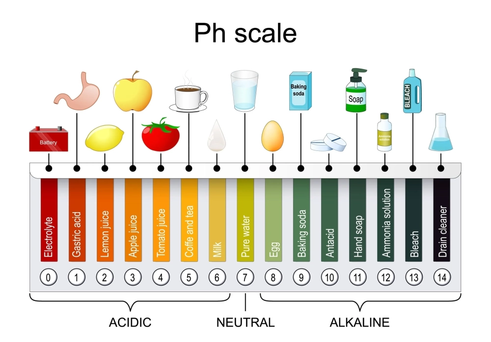 Giải thích quỳ tím đổi màu dựa trên nồng độ ion hidro