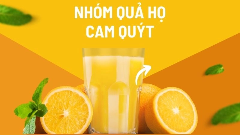 Nhóm quả họ cam quýt - Khiên chắn miễn dịch tự nhiên