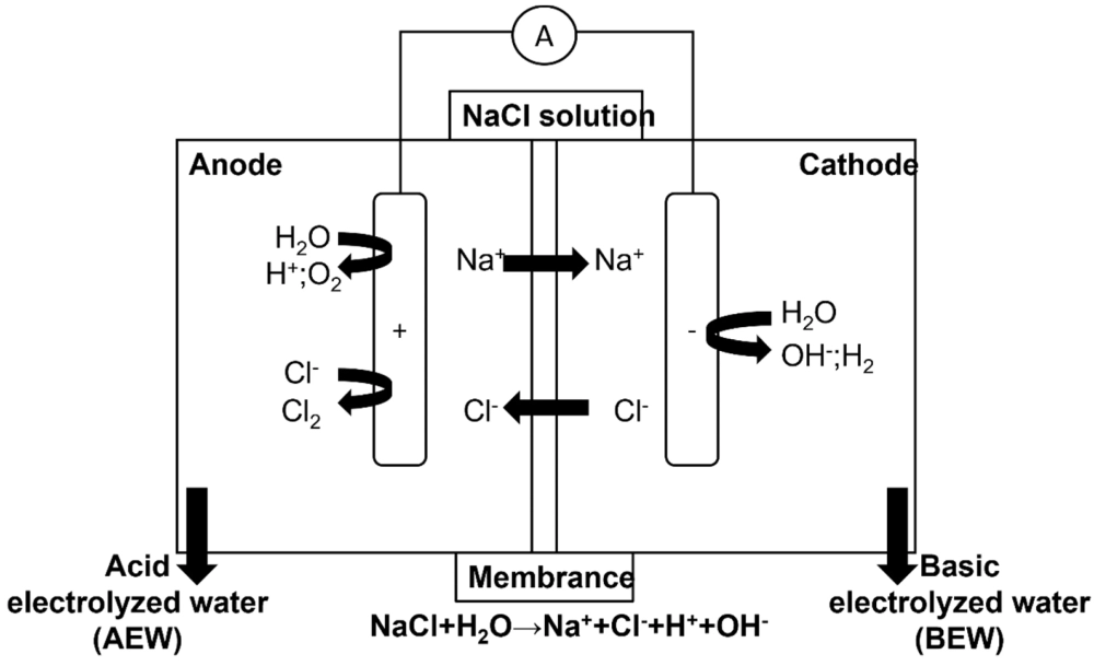 Mối liên hệ giữa phản ứng điện phân và Faraday qua công thức tính khối lượng