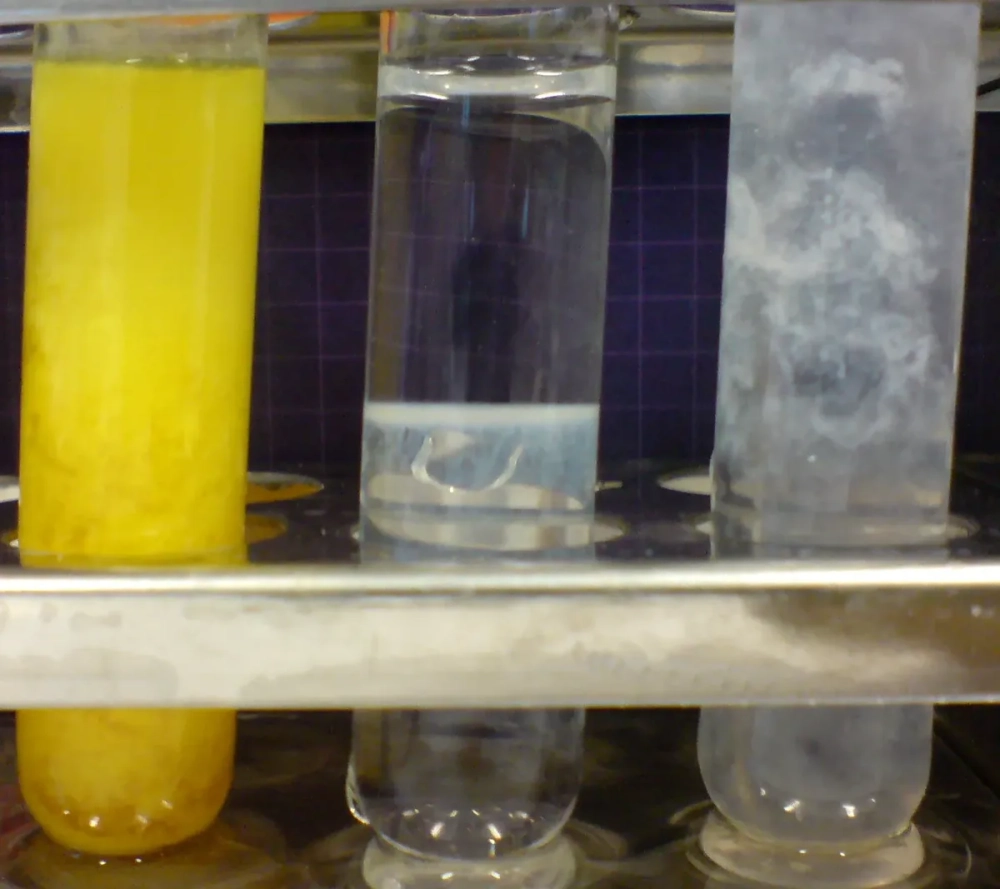 Sơ đồ phản ứng tạo kết tủa mô tả quá trình hình thành mạng tinh thể