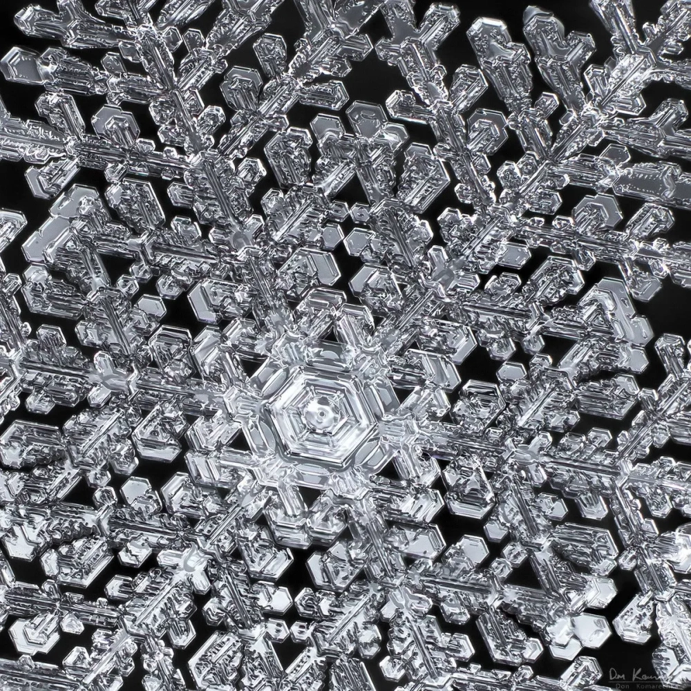 Cấu trúc tinh thể tuyết hình lục giác đối xứng hoàn hảo dưới kính hiển vi