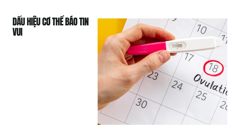 Thay đổi lạ trên cơ thể cảnh báo bạn đã có tin vui