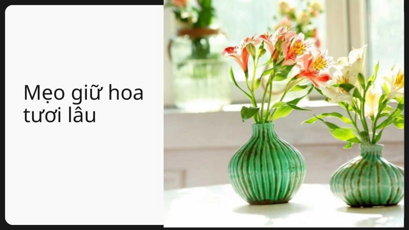 Cách giữ hoa tươi lâu đơn giản ngay tại nhà