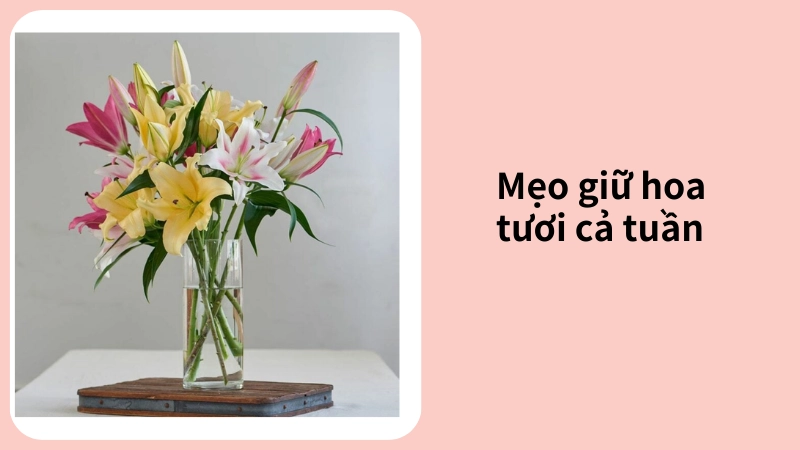 Đừng bỏ lỡ mẹo giúp bình hoa rực rỡ cả tuần